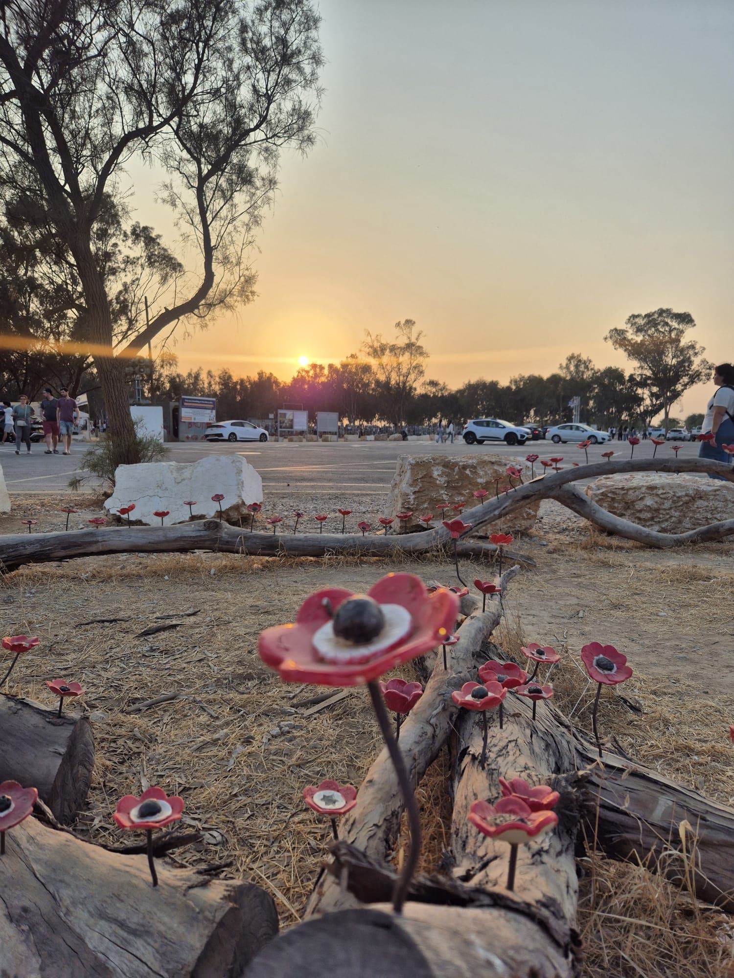 Memorial markers nestled among eucalyptus trees